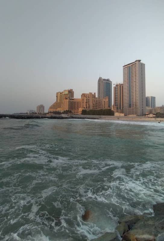 شاطئ النخيل - Image 1