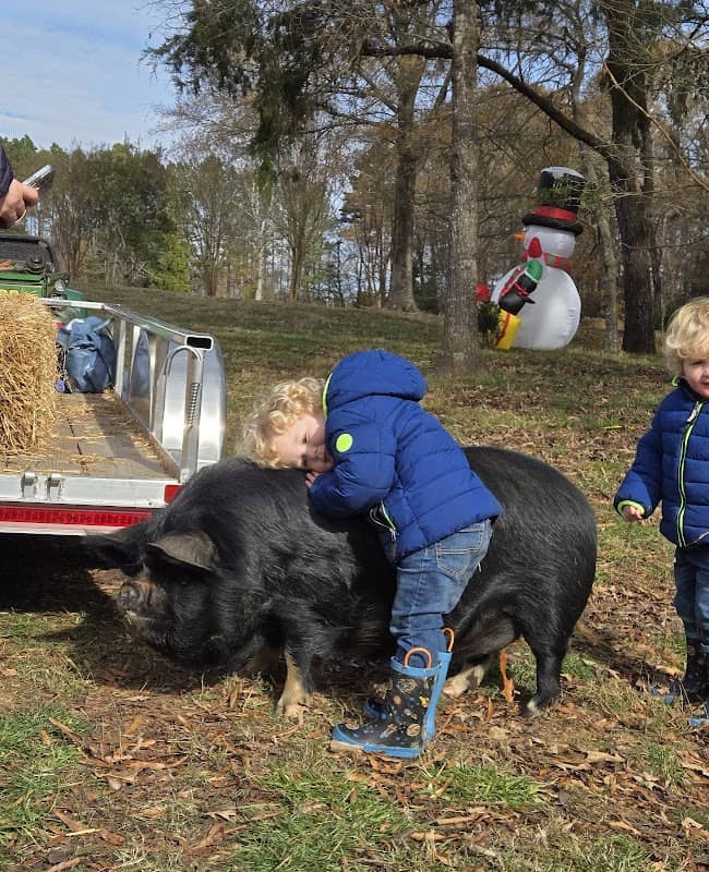 Thornfield Heritage Farm - Image 1