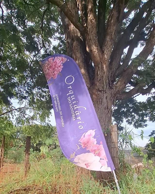 Orquidário do Sandro - Chácara Progresso - Image 1