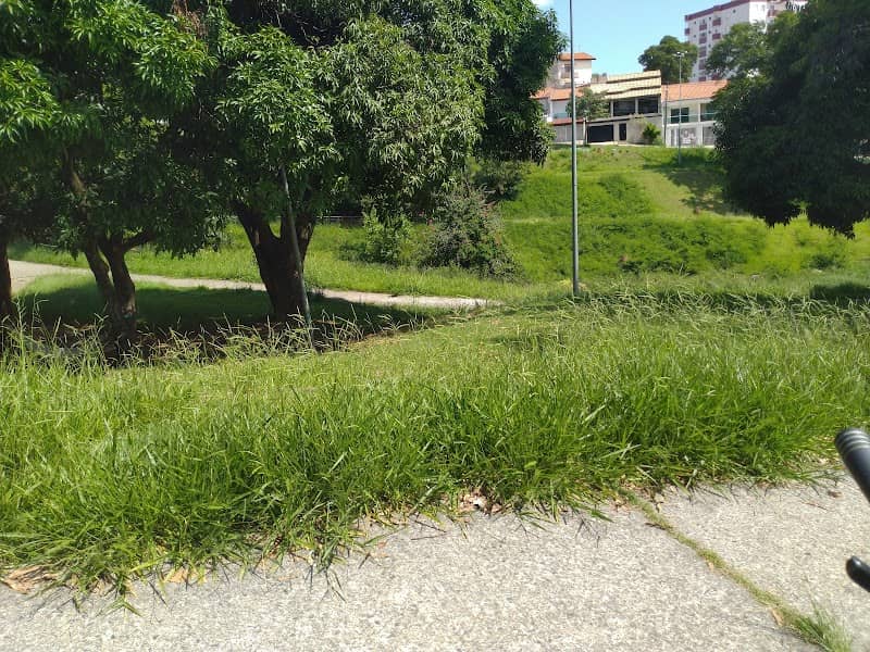 Parque João Pellegrini - Image 2