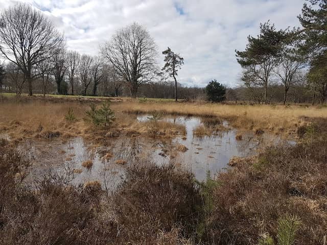 Boswachterij Ruurlo - Image 1