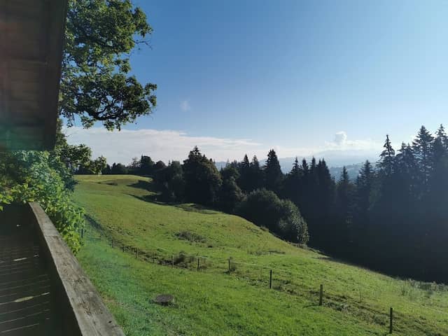 Stouffeneiche - Image 1