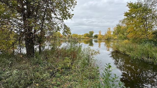 Kane Meadows Open Space - Image 2