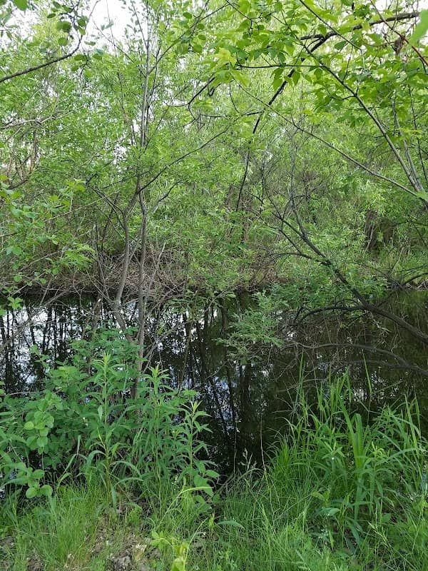 Kane Meadows Open Space - Image 1