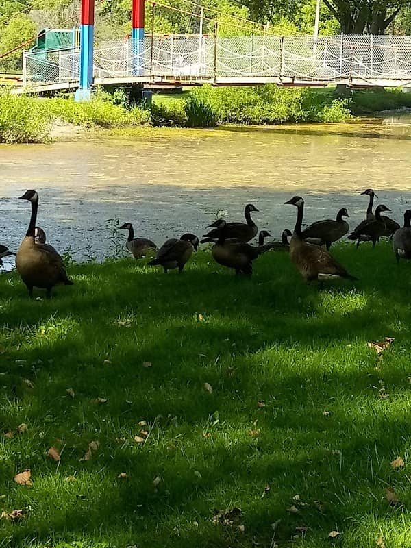 Twin Oaks Park - Image 2