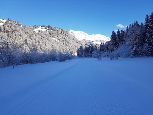 Langlaufloipe Zweisimmen-St.Stephan-Lenk. Einstieg Zweisimmen - Image 1