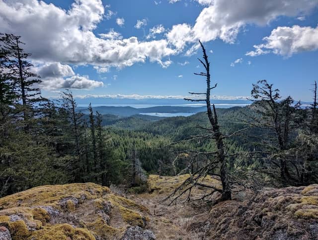 Sooke Mountain Provincial Park - Image 1