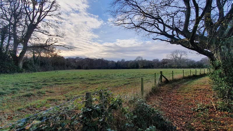 Marston Field - Image 2