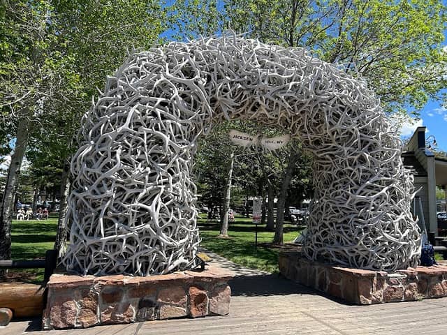 Elk Antler Arch - Image 1