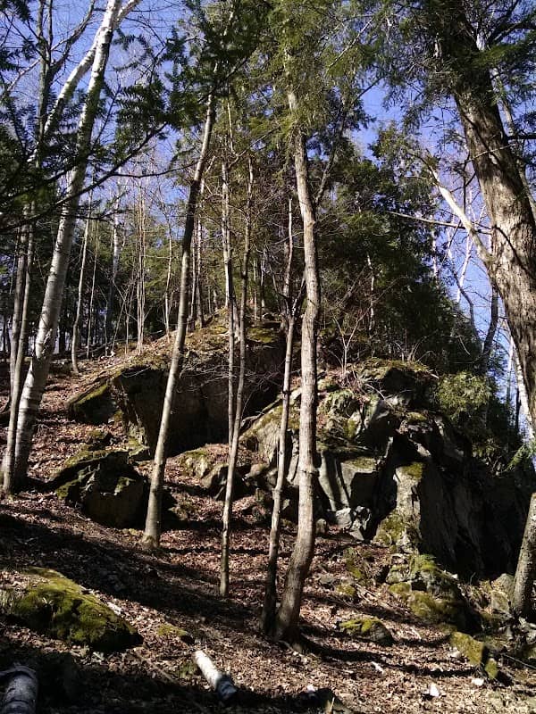 Niagara Memorial Park - Image 2