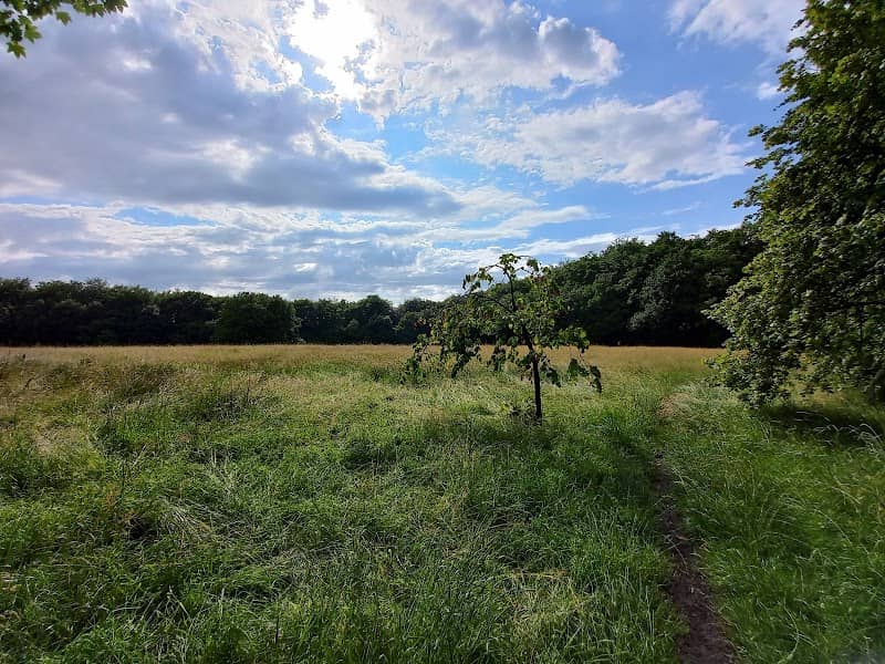 Lever Park - Image 2