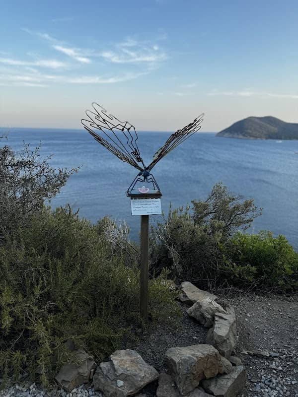 Butterfly - Image 1