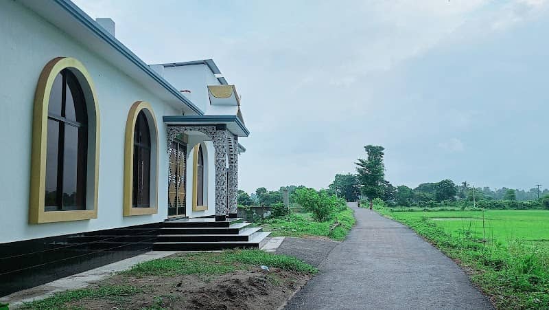 Bockchar- BipraTasulla Virul Road - Image 1