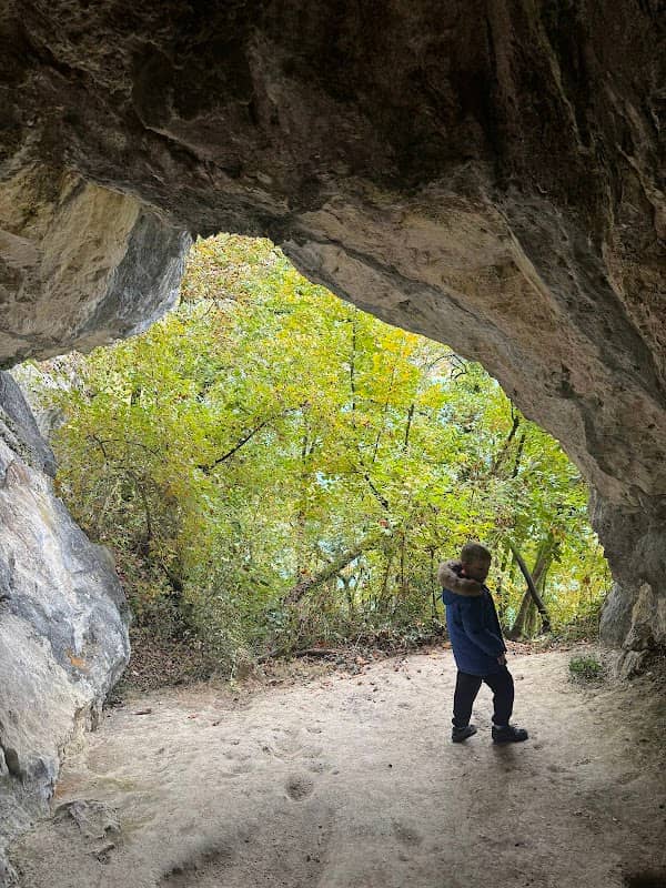 Grotte aux oiseaux - Image 2