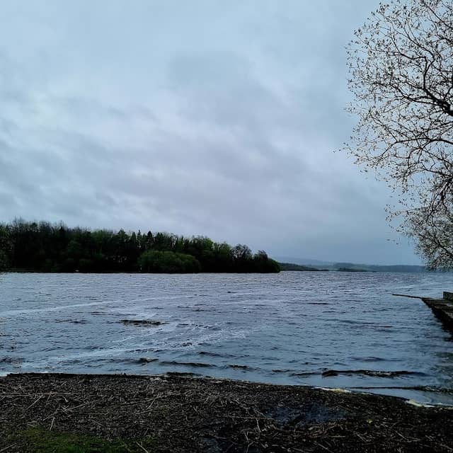 Lough Sheelin Shore - Image 1