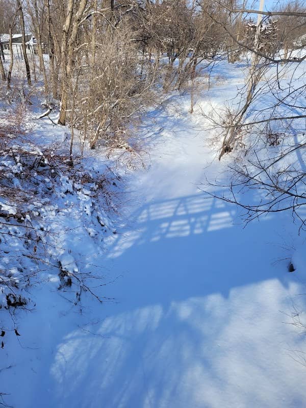 Wings Park - Image 2