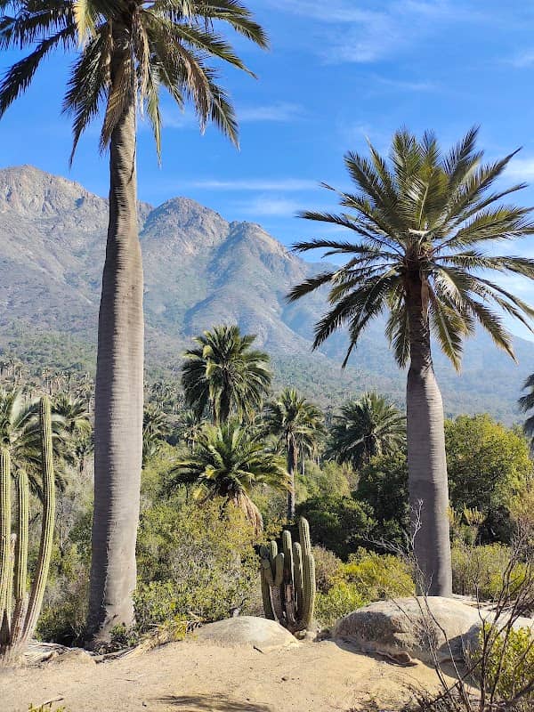 La Campana sector Ocoa National Park - Image 1