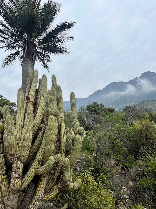 La Campana sector Ocoa National Park - Image 2