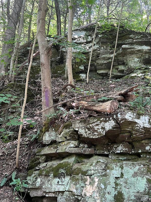 Iroquois Trail - Image 1