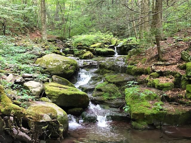 Diamond Notch Falls - Image 2