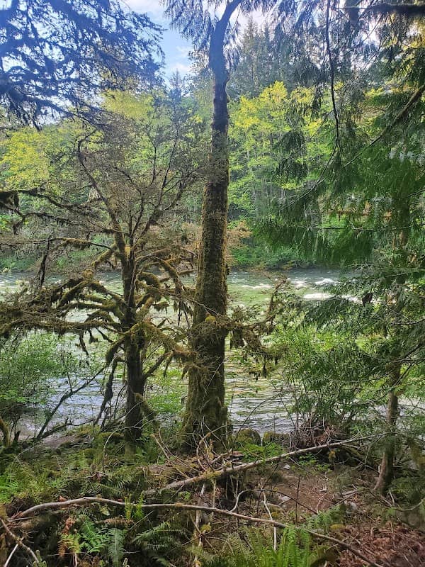 Skykomish Ballpark - Image 2