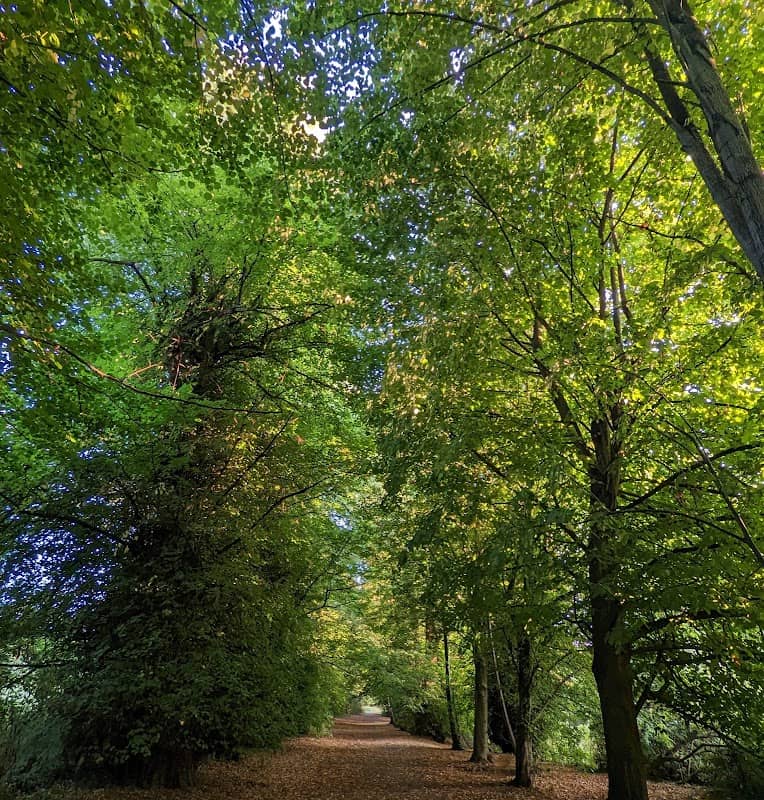 Vinters Valley Nature Reserve - Image 2