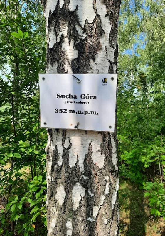 Punkt triangulacyjny Sucha Góra Trockenberg - Image 2
