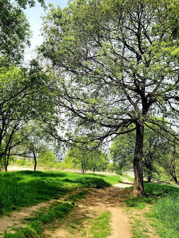 2014 Beautiful Forest 15th Award Site - Image 1