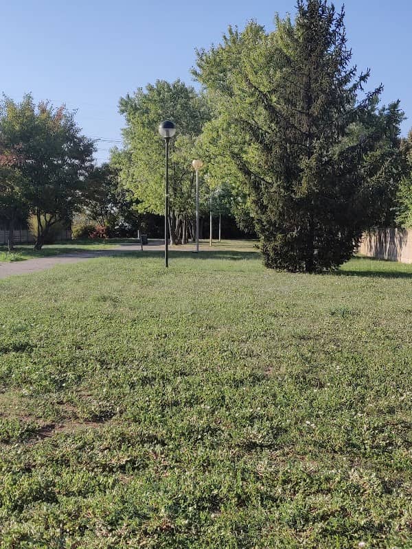 Parchetto comunale - Image 1