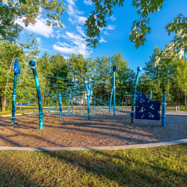Parc Henri-Dunant (CRAB) - Image 1