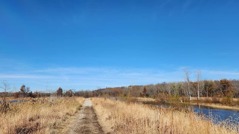 Blue Springs Lake Wetland - Image 1