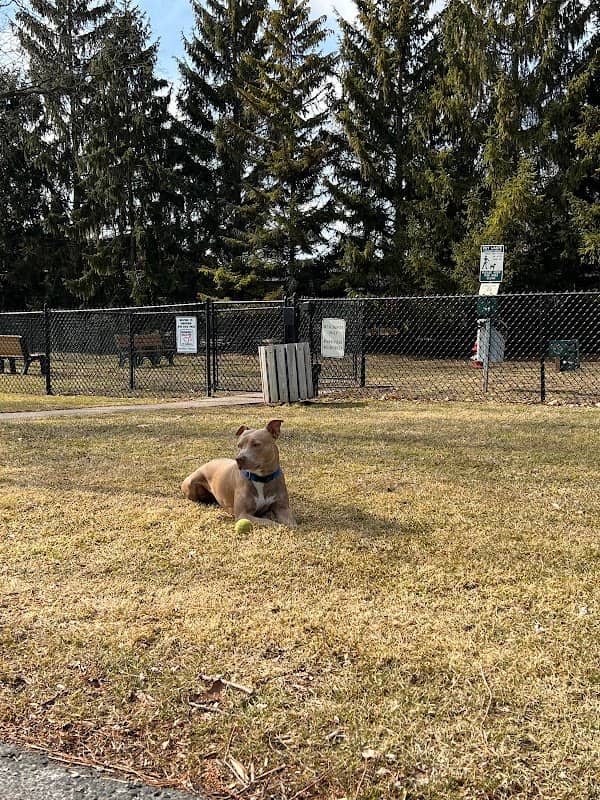 Grosse Pointe Shores Dog Park - Image 1
