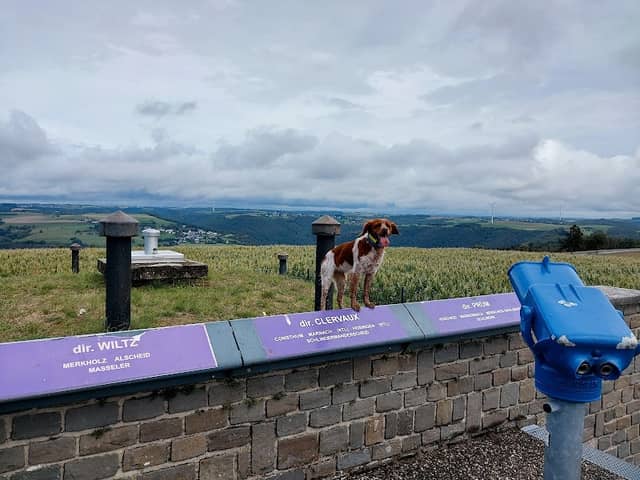 BUERSCHENT scenic viewpoint - Image 1
