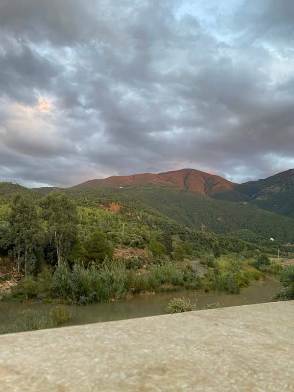 كلاجة - Image 1