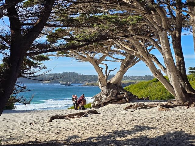 Carmel by the sea - Image 2
