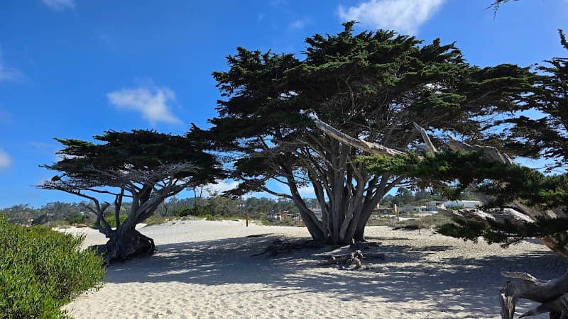 Carmel by the sea - Image 1