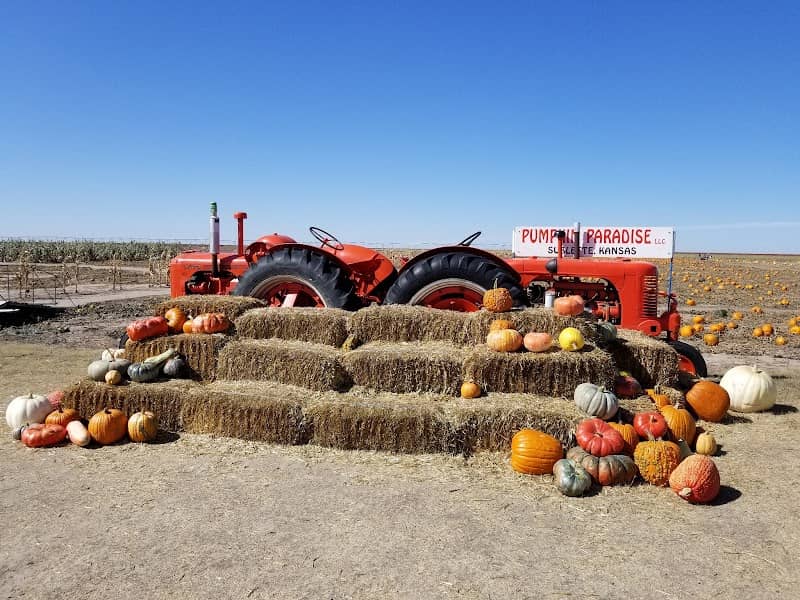 Pumpkin Paradise LLC - Image 1
