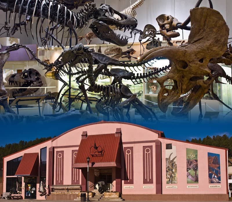 Museum @ Black Hills Institute - Image 1