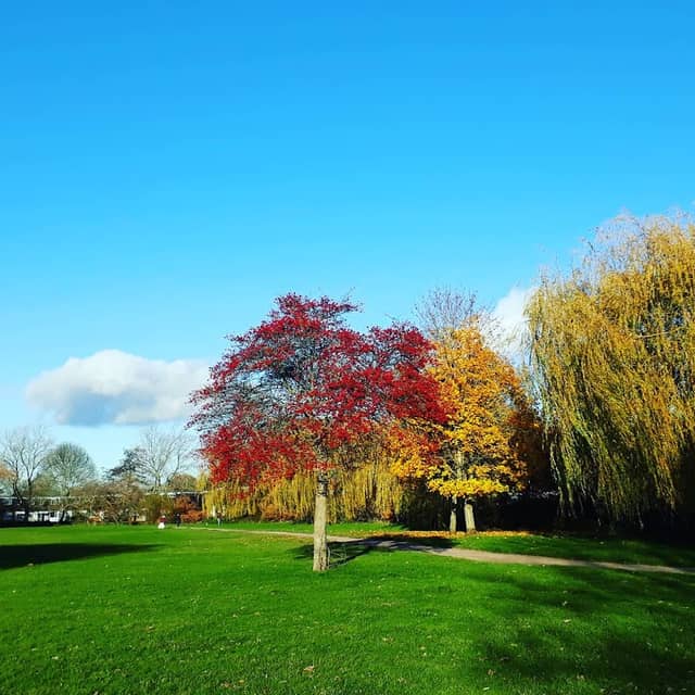 Blunden Road Park - Image 2