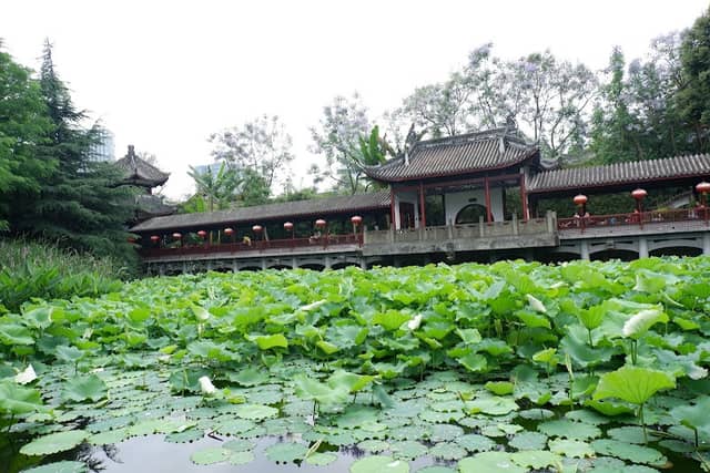 Culture Park (South Gate) - Image 1