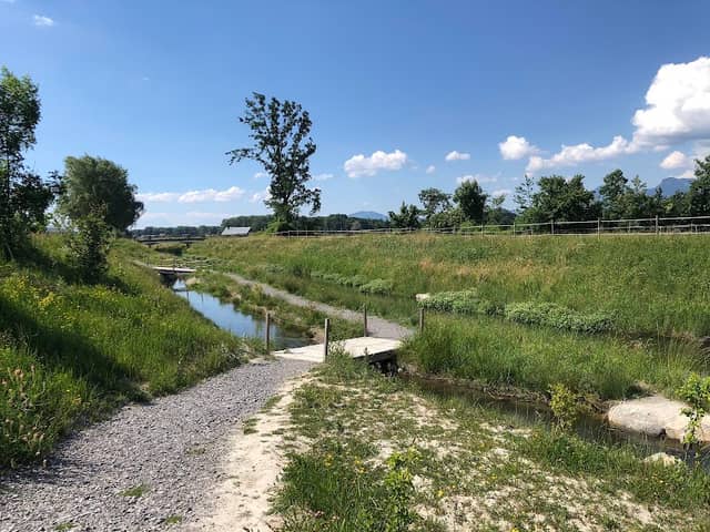 Renaturation du grand Canal - Image 1