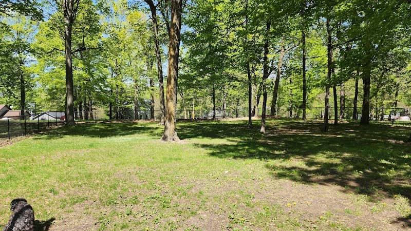 Bark Park - Image 2