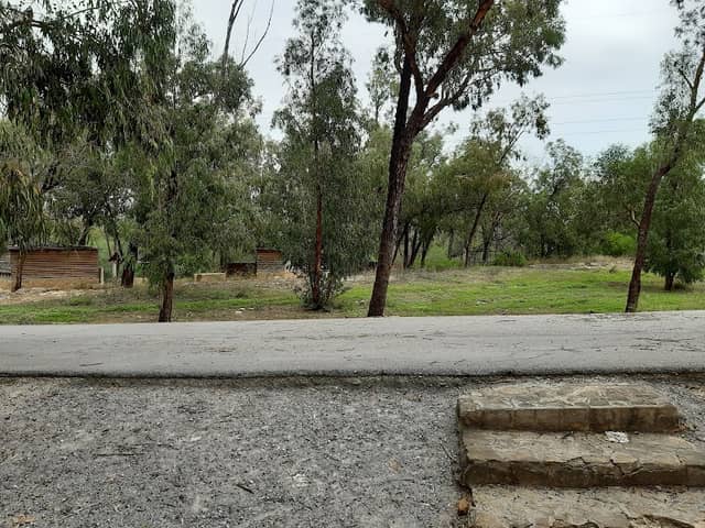 Parc Farhat Hached - Image 1
