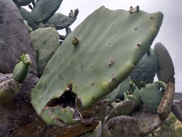 Dove Tail Park - Image 1