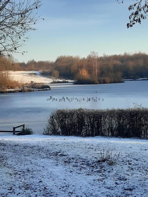 Upton Country Park - Image 1