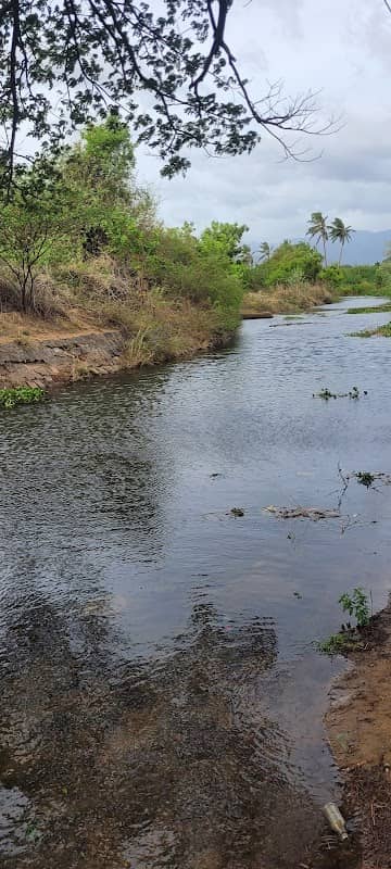 TAMILNADU FOREST, Deputy Director Office -AMBASAMUDRAM DIVISION - KALAKAD MUNDANTHURAI TIGER RESERVE - Image 1