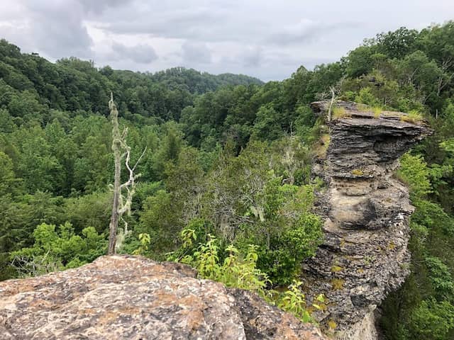 Window Cliffs State Natural Area - Image 1