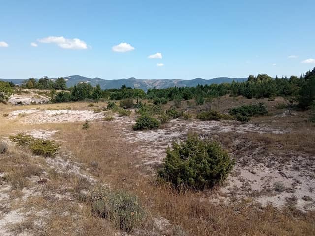Pietralata Enduro Bike Park - Image 2