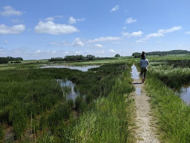 Slack Slough - Image 1