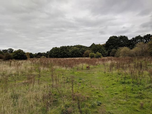 Thorley Wash Nature Reserve - Image 1